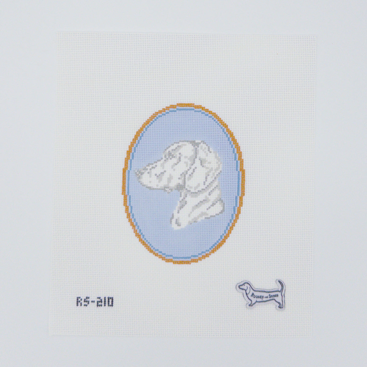 GSP/Vizsla/Weimaraner Cameo