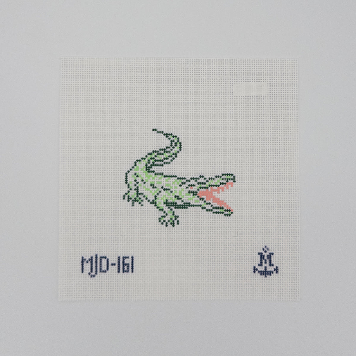 Florida Alligator