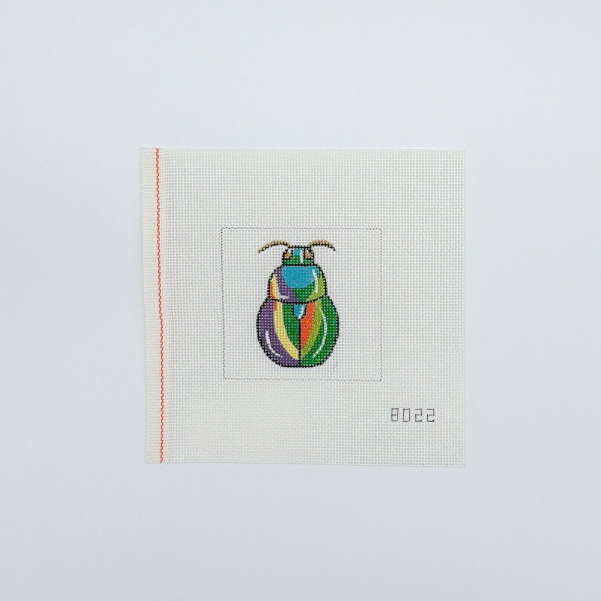 Colorful Beetle