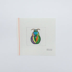 Colorful Beetle