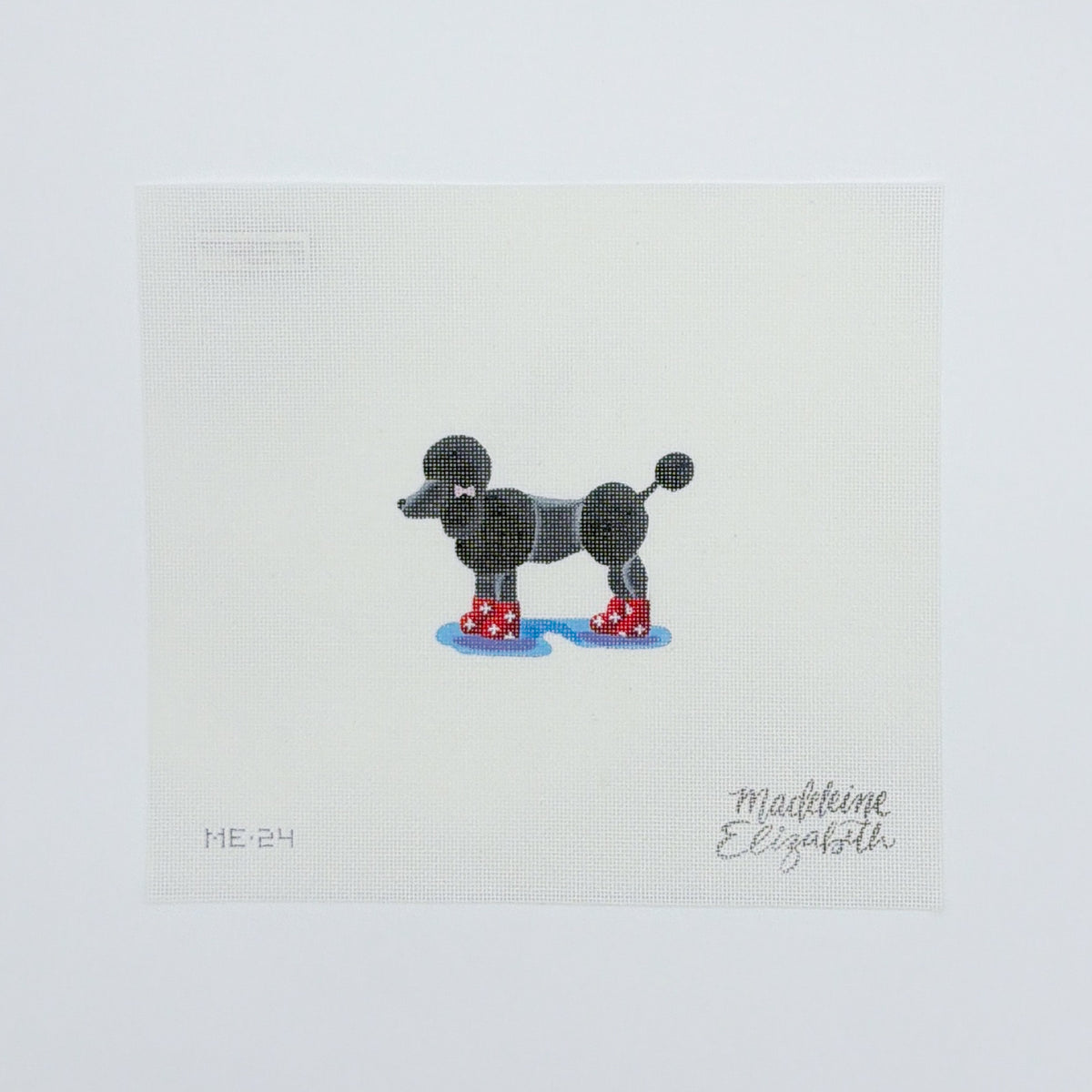 Poodle in Boots