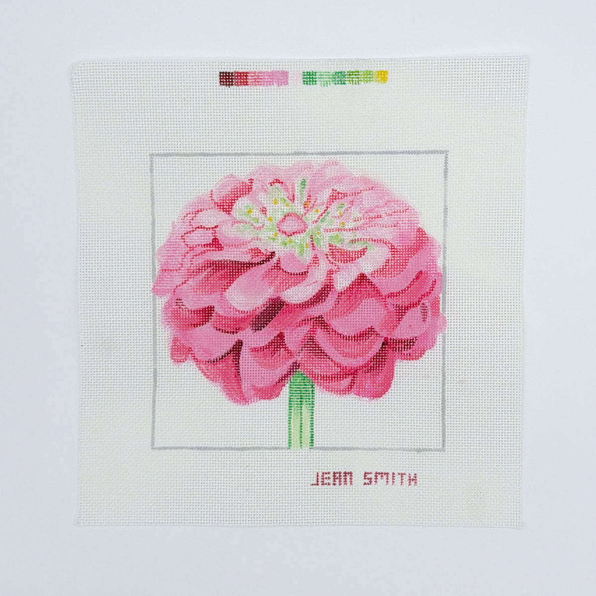 Pink Zinnia