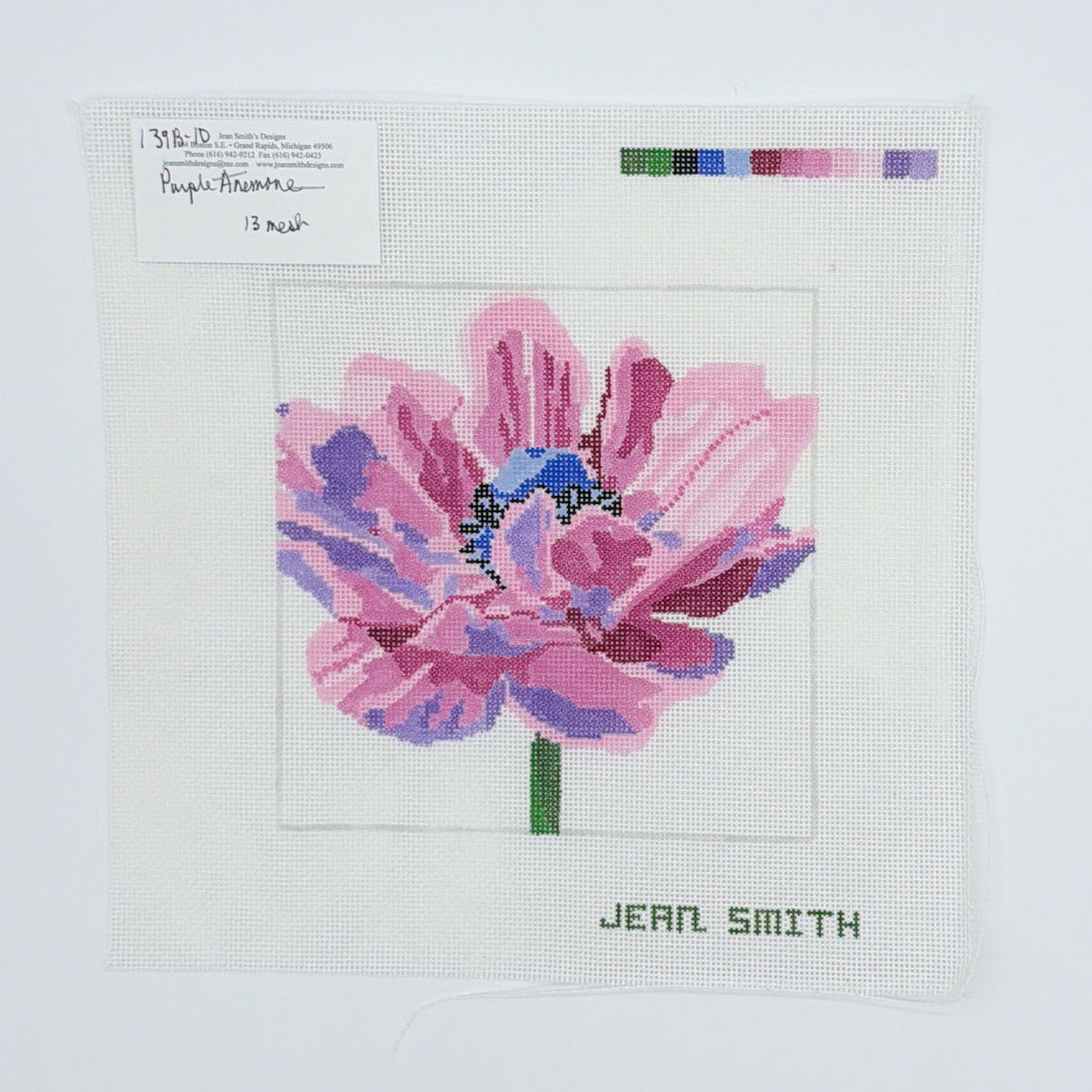 Purple Anemone