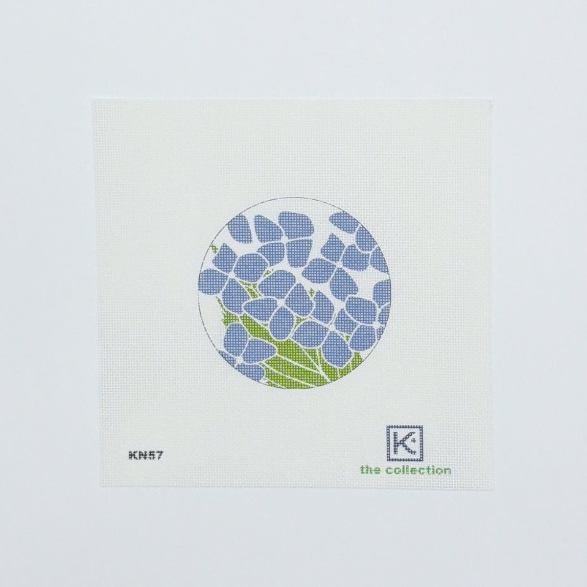 Hydrangea 4R