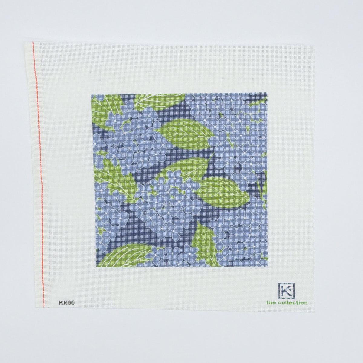 Blue Hydrangea 8x8 18M