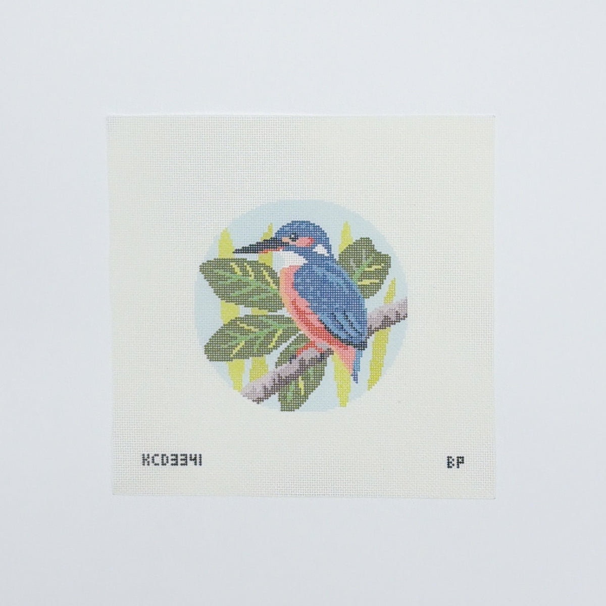 Australian Azure Kingfisher