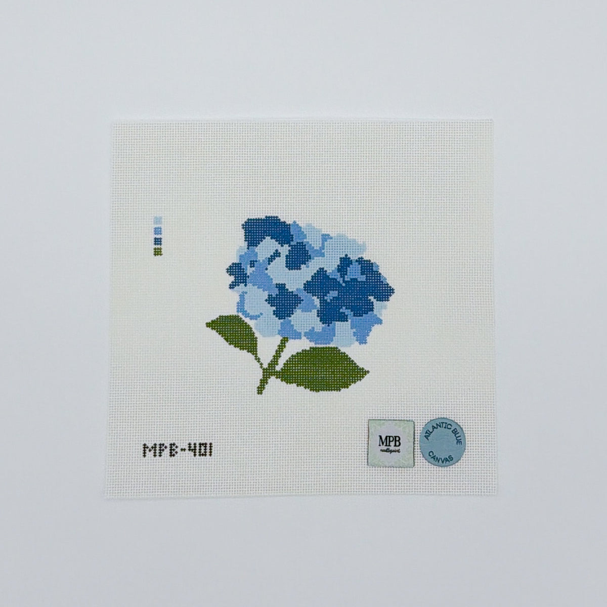 Hydrangea