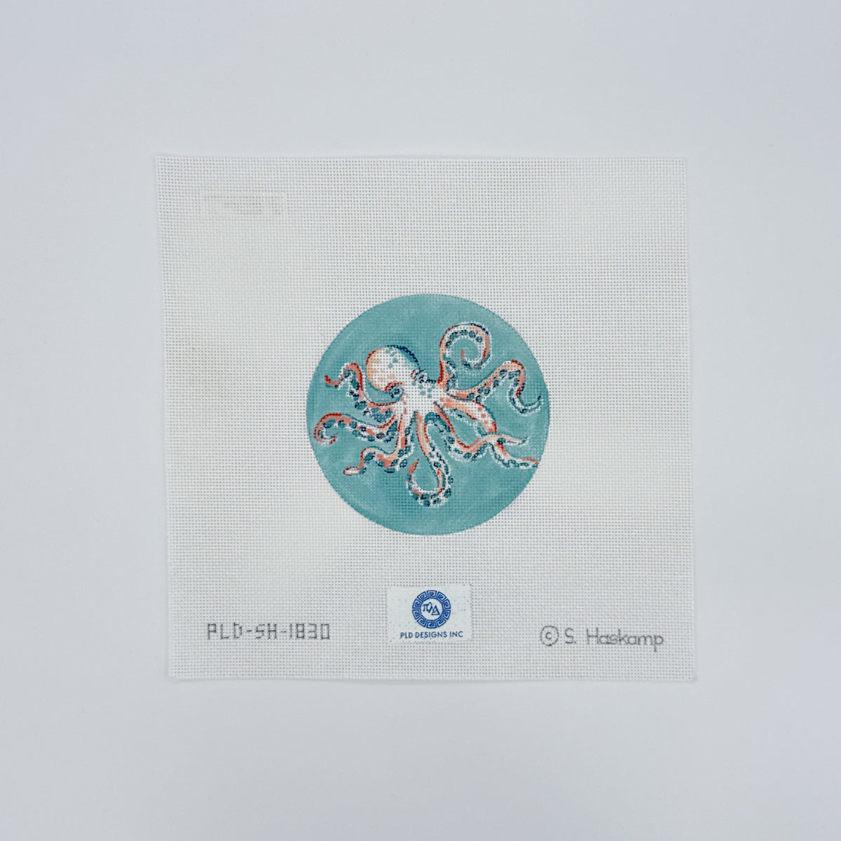 Octopus on Aqua