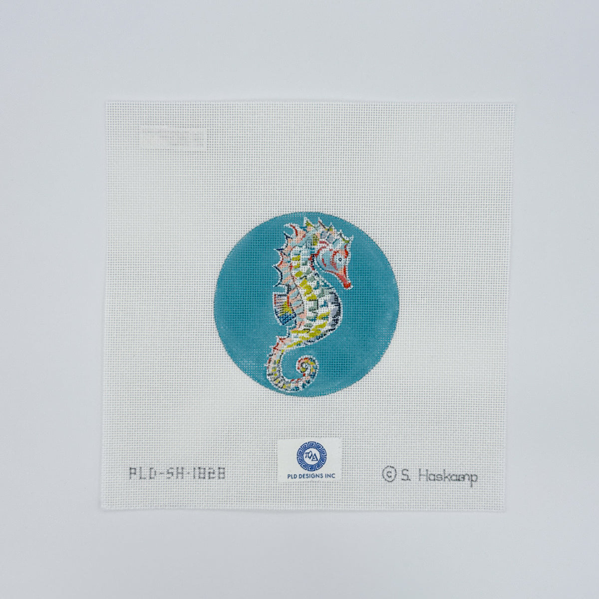 Seahorse on Aqua