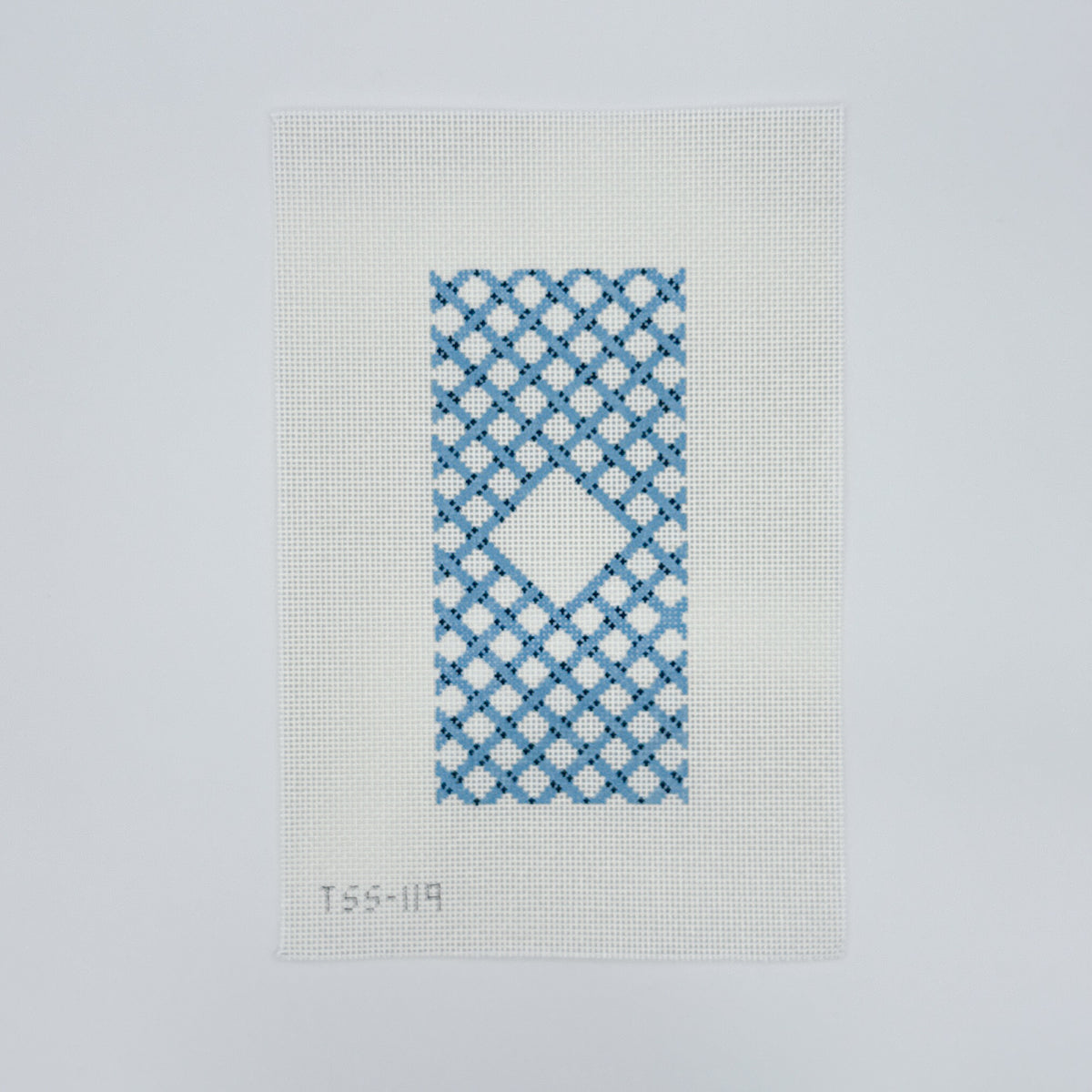 The Salty Stitcher: Woven Trellis Case