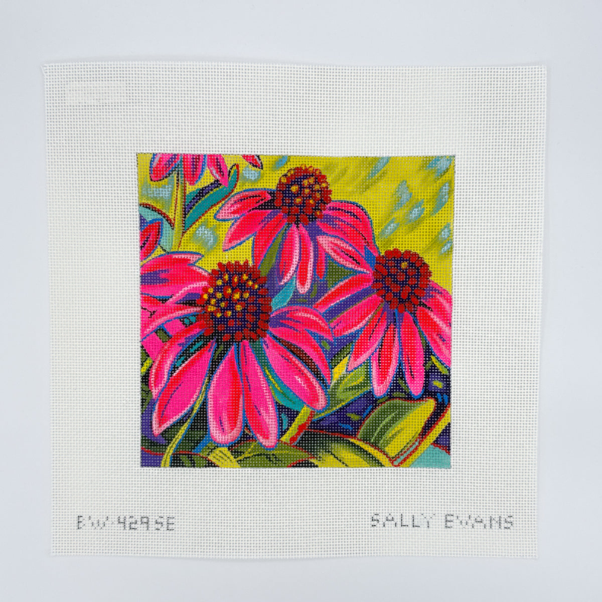 Sally Evans: Coneflowers Dance with Joy