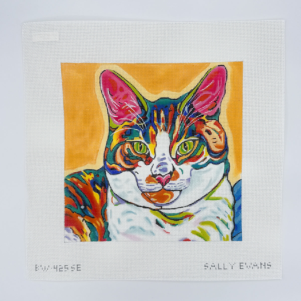 Sally Evans: Charlie
