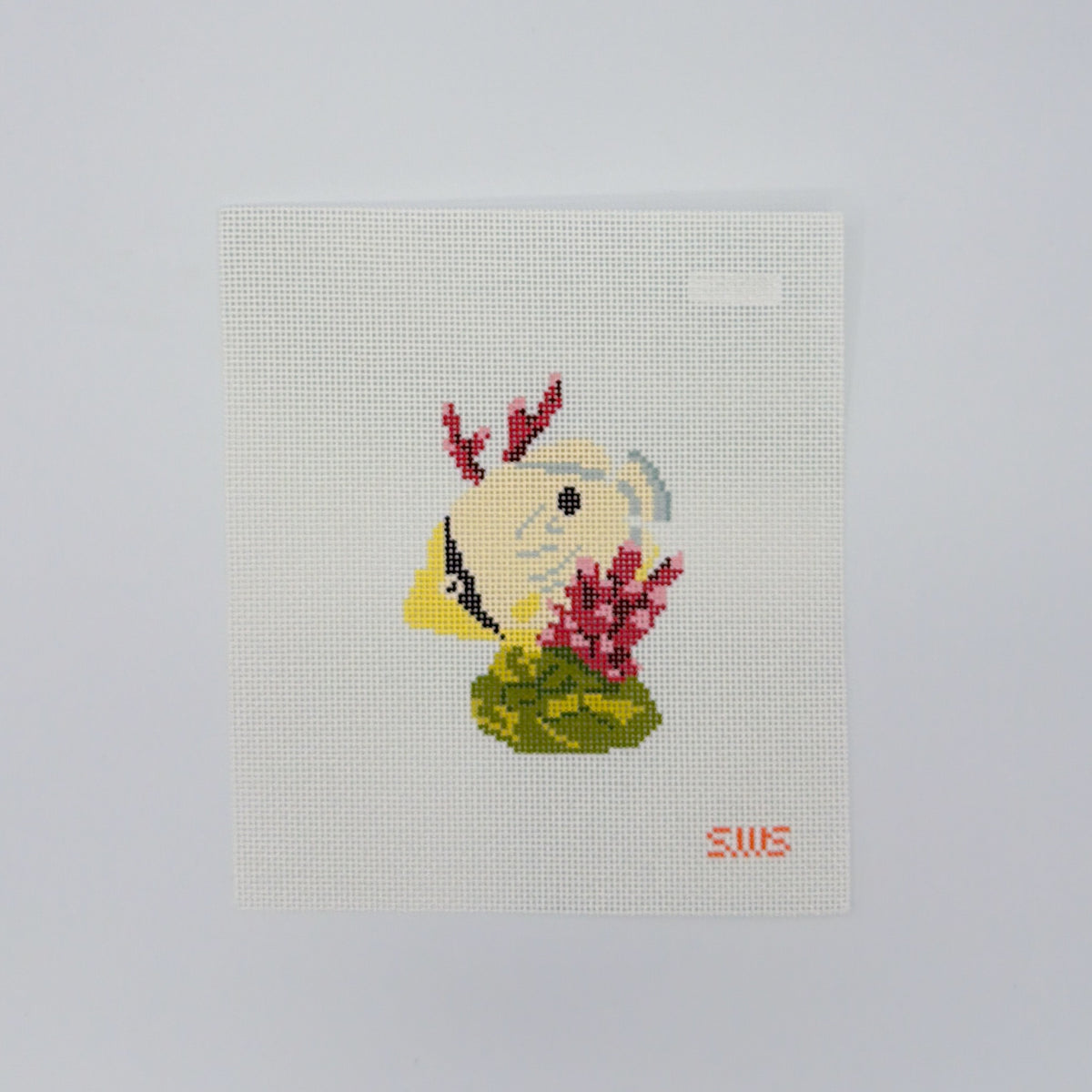 Yellow Coral Fish