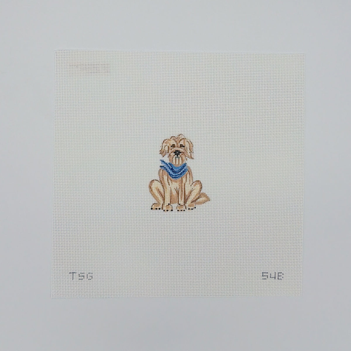 Noodle the Doodle